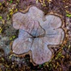 Exploring The Benefits Of Mindfulness Meditation: How Can It Transform Your Life?