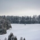 Understanding The Impact Of Climate Change On Global Agriculture?