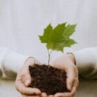 The Importance Of Sustainable Practices In Business?