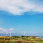 The Benefits Of Using Eco-Friendly Products In Your Daily Life