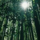 The Importance Of Sustainable Practices In Modern Business?