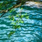 How To Improve Your Mental Health?