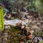 Understanding The Impact Of Climate Change On Biodiversity?