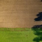 What Is the Importance of Sustainable Agriculture?