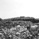 The Impact Of Climate Change On Global Weather Patterns?