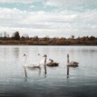 Exploring The Benefits Of Mindfulness Meditation For Stress Relief?