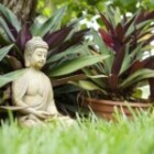 The Benefits Of Incorporating Mindfulness Into Daily Life