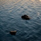 The Benefits Of Meditation For Mental Health?