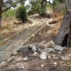 The Importance Of Regular Exercise For A Healthy Lifestyle?