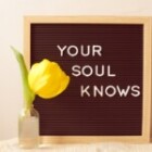 The Importance Of Self-Care In Daily Life?