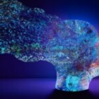 What Is The Importance Of Emotional Intelligence In The Workplace?