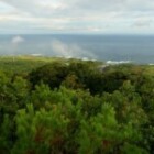 Understanding The Impact Of Climate Change On Global Ecosystems?