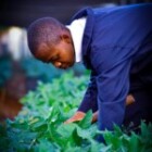 The Importance Of Sustainable Practices In Modern Business?