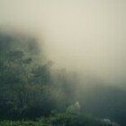 Exploring The Benefits Of Mindfulness Meditation For Stress Relief?