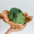 The Importance Of Sustainable Living: How Can We Make A Difference?