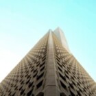 The Impact of Artificial Intelligence on Business Growth?