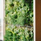 The Importance Of Sustainable Living: How Can We Make A Difference?