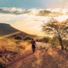 How to Successfully Navigate Your Career Path?