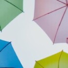 What Is Uninsured Motorist Coverage And Should You Have It?