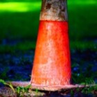 Generate An Article Title For This Keyword?