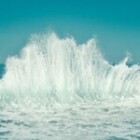 Generate An Article Title For This Keyword?